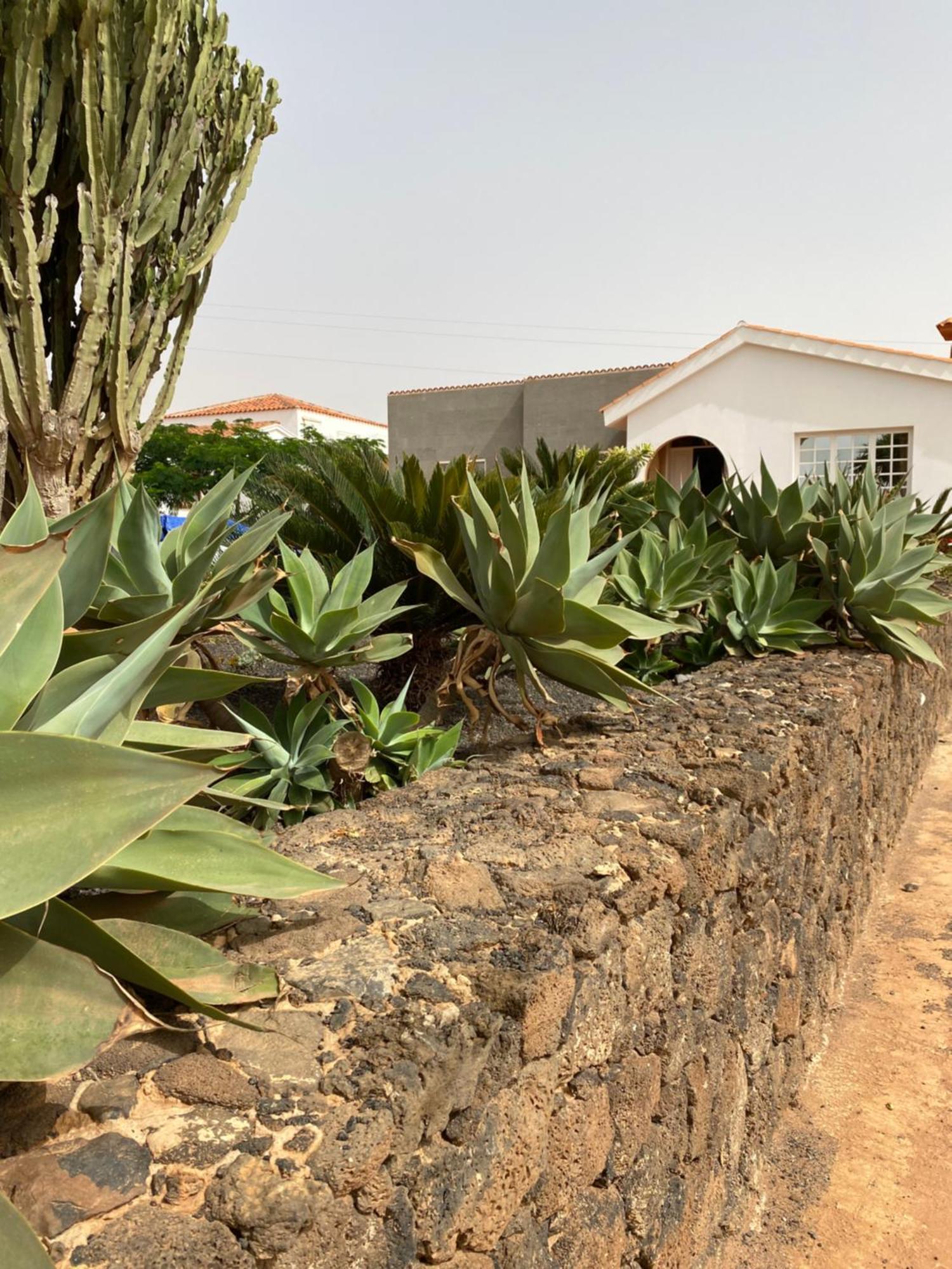 Mi Casa Puerto del Rosario (Fuerteventura) Exterior foto